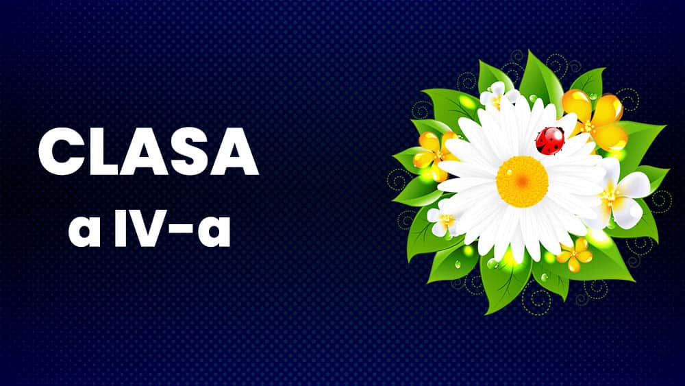 Științe ale naturii - Clasa a IV-a
