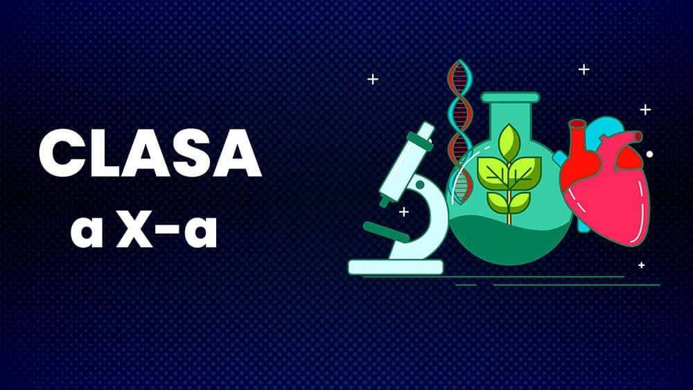 Biologie - Clasa a X-a