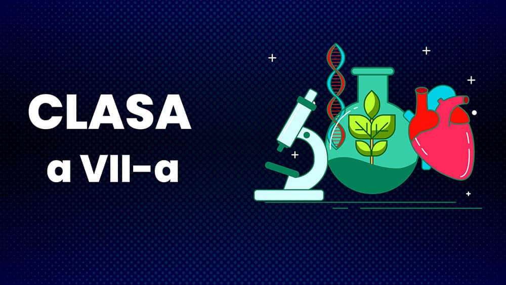 Biologie - Clasa a VII-a