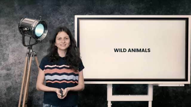 Wild animals