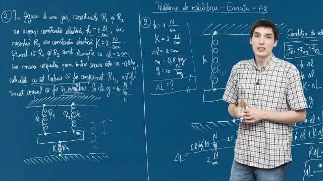 Probleme de echilibru - Exerciții - P2