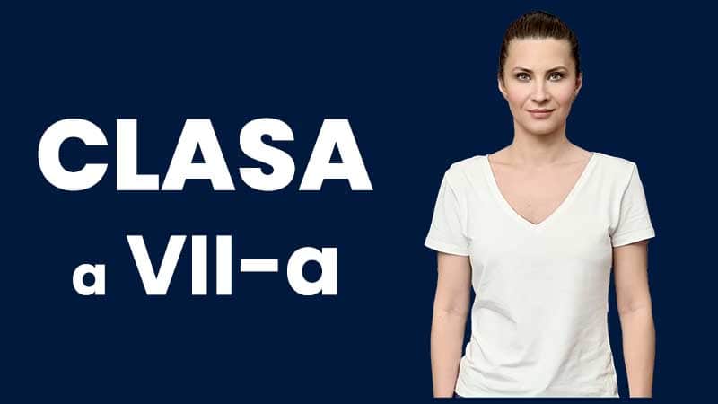 Matematica - Clasa VII-a