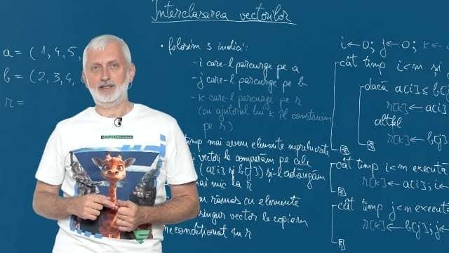 Interclasarea vectorilor