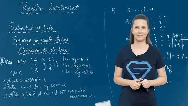 Sisteme de ecuații liniare. Exerciții - P3