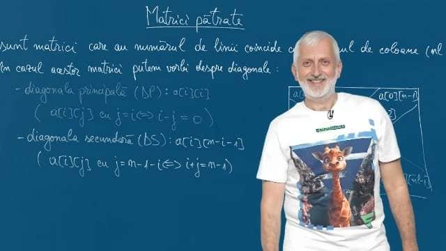 Tablouri bidimensionale. Matrici pătrate