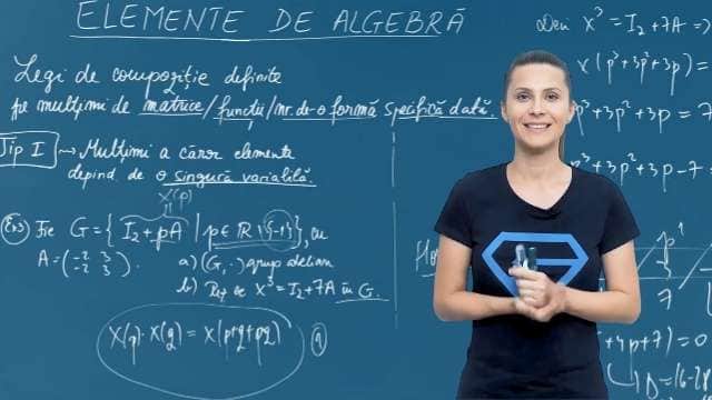 Multimi a caror elemente depind de o singura variabila - P3