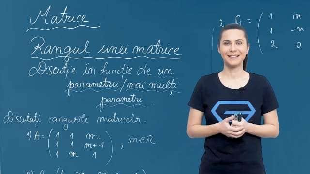 Rangul unei matrice - discutie în funcție de unul sau mai multi parametri