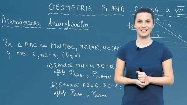 Asemănarea Triunghiurilor - P2