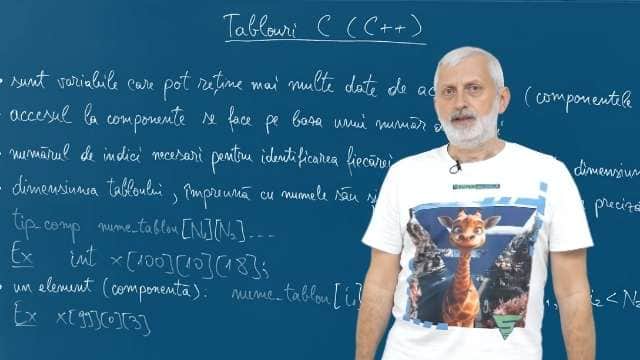 Tablouri C (C++)