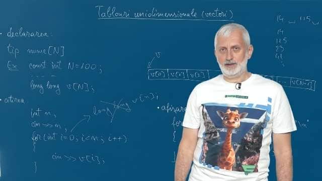 Tablouri unidimensionale (vectori)